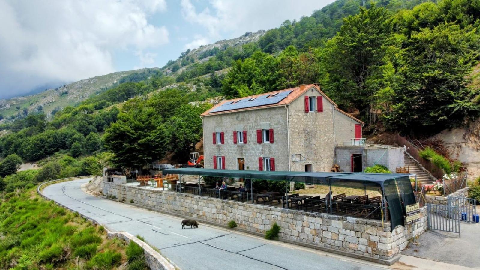 Ferme Auberge Du Col De La Vaccia Hotel Olivese Kültér fotó