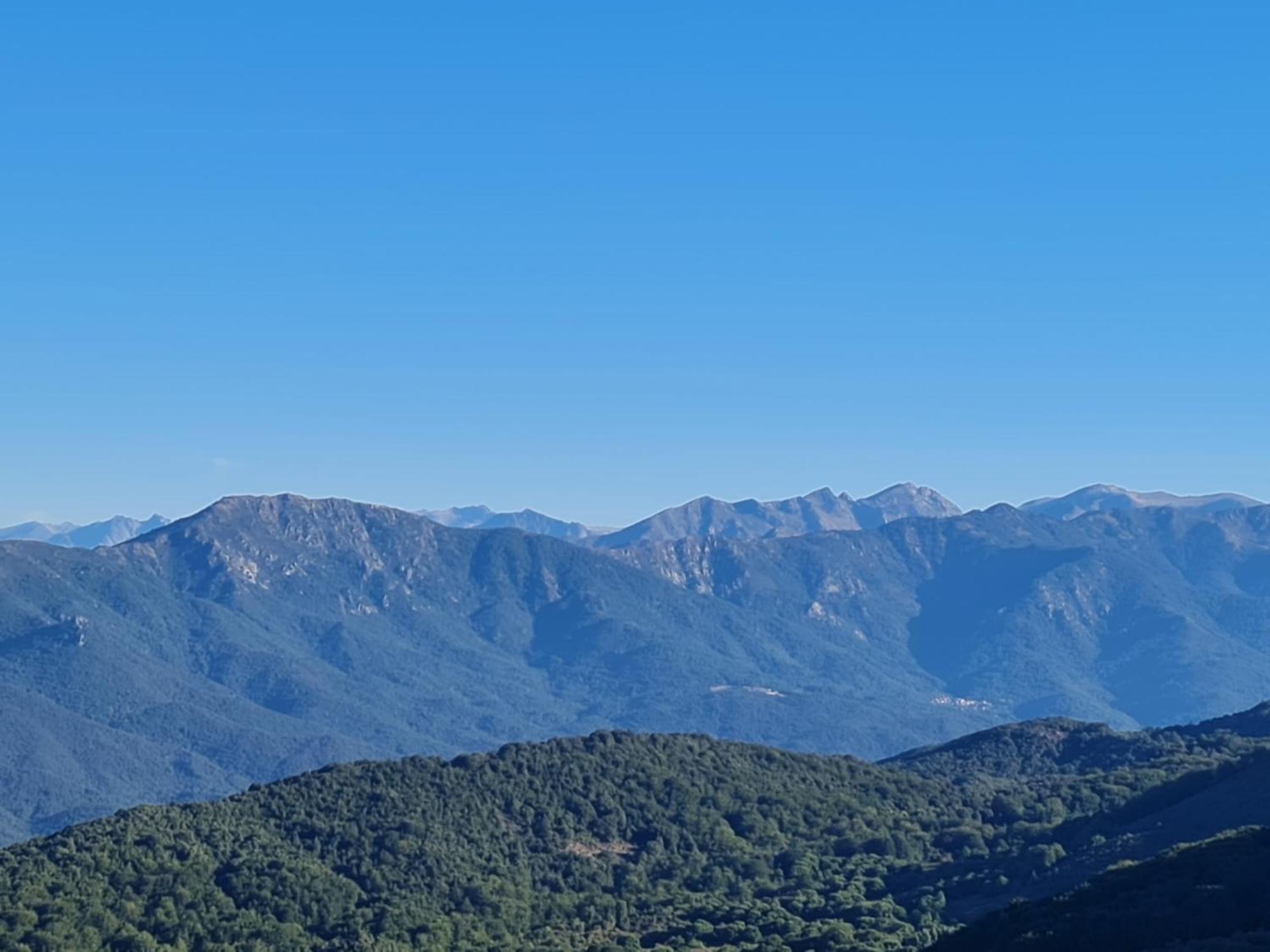 Ferme Auberge Du Col De La Vaccia Hotel Olivese Kültér fotó